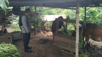 Ketahanan Pangan dari Rumah: Polri Ajak Warga Tanam Sayur di Pekarangan