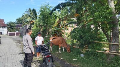 Sosialisasi Pangan Sehat: Bhabinkamtibmas Ajak Warga Tanam Sayur
