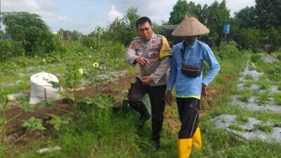 Bhabinkamtibmas Desa Jagaraga Aktif Sosialisasi Ketahanan Pangan, Warga Antusias Menyambut