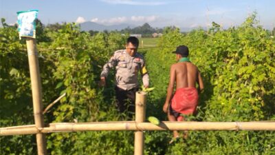Polsek Kuripan Dukung Ketahanan Pangan Nasional, Bhabinkamtibmas Jalin Sinergi dengan Warga