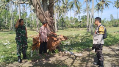 Bhabinkamtibmas Batulayar Giatkan Pertanian Pekarangan Warga