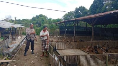Bhabinkamtibmas Dorong Ketahanan Pangan di Dusun Merembu Tengah