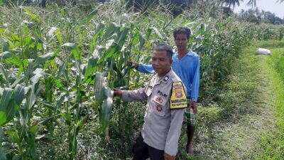 Bhabinkamtibmas Dorong Swasembada Pangan di Desa Montong Are