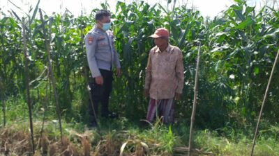 Bhabinkamtibmas Sosialisasi Pemanfaatan Lahan Kosong untuk Pangan