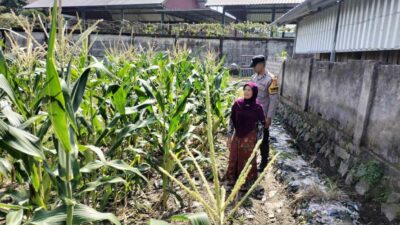 Bhabinkamtibmas Labuapi Dorong Pemanfaatan Lahan Demi Ketahanan Pangan