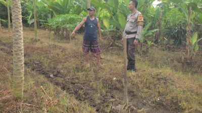 Bhabinkamtibmas Labuapi Gandeng Petani Tingkatkan Ketahanan Pangan dan Jaga Kamtibmas