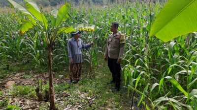Bhabinkamtibmas Sekotong Timur Dampingi Petani Dukung Ketahanan Pangan