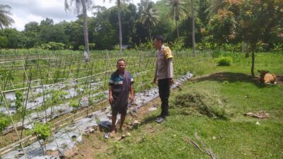 Dukung Ketahanan Pangan, Polri Aktif di Desa Batu Putih