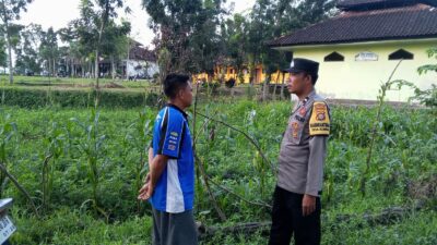 Ketahanan Pangan Desa Kuripan Didukung Langsung Aparat Kepolisian