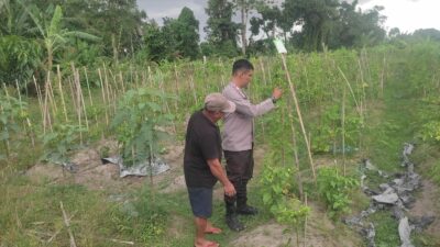 Kolaborasi Warga dan Polisi Dorong Pemanfaatan Pekarangan di Labuapi