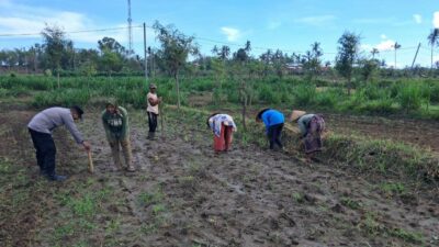 Peran Polri Dalam Swasembada Pangan di Sekotong, NTB
