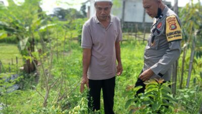 Polri Dorong Ketahanan Pangan di Desa Kuripan