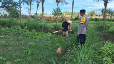 Polri Dorong Pertanian Produktif di Desa Pelangan, Sekotong