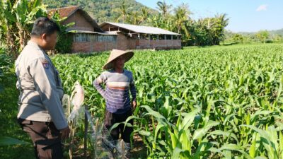 Polri dan Petani Bersinergi Wujudkan Ketahanan Pangan di Lembar, Lombok Barat