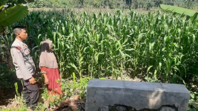 Polsek Lembar Dukung Ketahanan Pangan di Dusun Jelateng