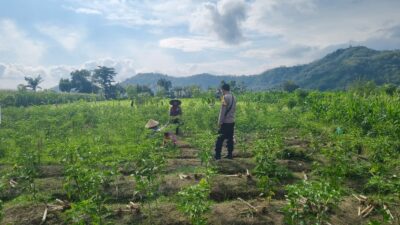 Sinergi Polisi dan Petani Dorong Ketahanan Pangan di Jembatan Kembar Timur