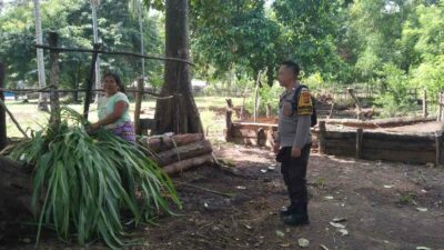 Sinergi Polri-Masyarakat Bangun Ketahanan Pangan Lokal di Batulayar