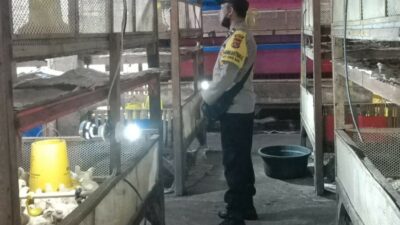 Bhabinkamtibmas Ombe Baru Dorong Ketahanan Pangan Lewat Kunjungan ke Peternak Ayam