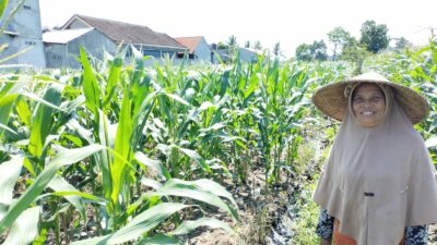 Bhabinkamtibmas Labuapi Ajak Warga Optimalkan Lahan Pekarangan untuk Ketahanan Pangan