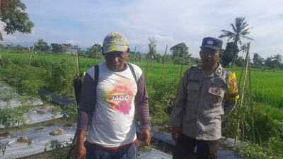 Bhabinkamtibmas Montong Are Dorong Swasembada Pangan di Kediri Lombok Barat