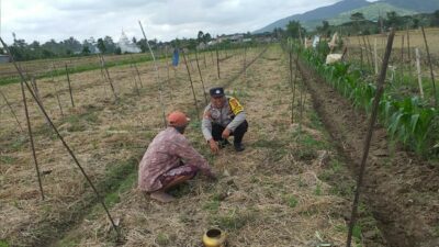 Ketahanan Pangan Dimulai dari Desa Bhabinkamtibmas Jagaraga Dorong Pemanfaatan Lahan Pekarangan