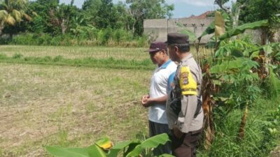 Ketahanan Pangan Dimulai dari Pekarangan, Inisiatif Bhabinkamtibmas di Dusun Dawung