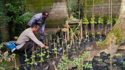 Polri Dorong Ketahanan Pangan dari Pekarangan Warga Kuripan Utara