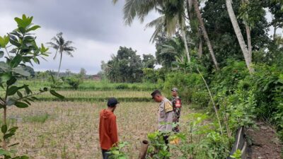 Polri Gencarkan Ketahanan Pangan di Lombok Barat, Bhabinkamtibmas Ajak Warga Sukseskan Swasembada