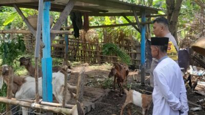 Polsek Batulayar Dorong Ketahanan Pangan Warga Senggigi melalui Edukasi Pertanian