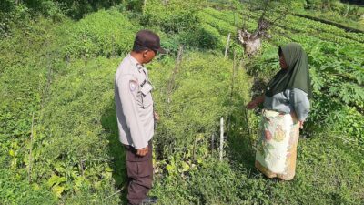 Polsek Kediri Dorong Ketahanan Pangan Warga Montong Are