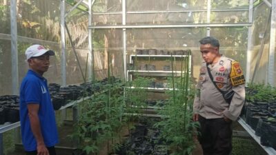 Sinergi Polsek Batulayar dan Warga untuk Pangan Mandiri