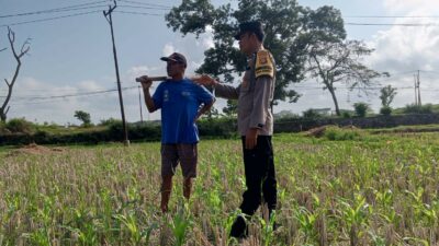Pekarangan Jadi Lumbung Keluarga: Polri dan Warga Desa Kuripan Wujudkan Pangan Tangguh