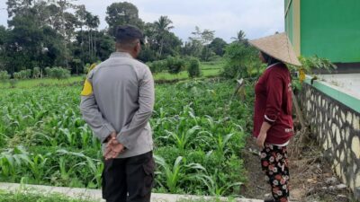 Bhabinkamtibmas Montong Are Dukung Ketahanan Pangan Lewat Pendampingan Petani