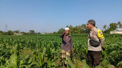 Dukung Ketahanan Pangan, Bhabinkamtibmas Sandik Edukasi Warga Perempung