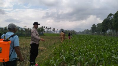 Polsek Kediri Bersama Bhabinkamtibmas dan PPL Pertanian Tingkatkan Ketahanan Pang