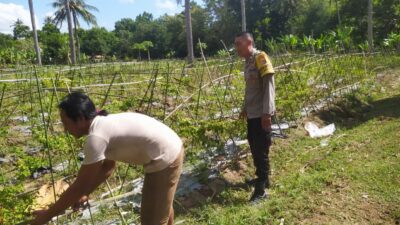 Polsek Sekotong Ajak Petani Berdayakan Lahan Produktif di Dusun Berambang