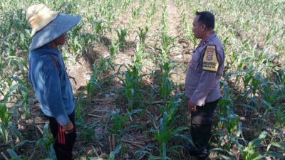 Sinergi Polri dan Petani, Optimalisasi Lahan Kosong di Dusun Jogot untuk Ketahanan Pangan