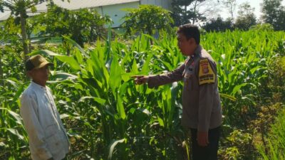 Bhabinkamtibmas Telagawaru Edukasi Petani Soal Lahan Pekarangan Bergizi