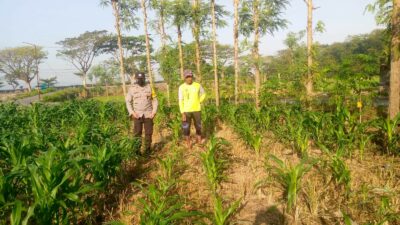 Kolaborasi Polisi dan Petani di Jagaraga untuk Wujudkan Lumbung Pangan Lokal