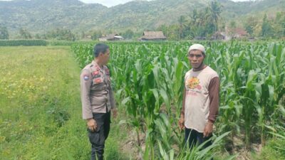 Sosialisasi Ketahanan Pangan di Dusun Pelabu: Polri Ajak Warga Manfaatkan Lahan Produktif