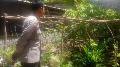 Kunjungan Humanis Bhabinkamtibmas, Ajak Warga Manfaatkan Lahan Pekarangan untuk Ketahanan Pangan