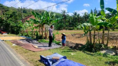 Sinergi Polri dan Petani Dusun Eyat Mayang Perkuat Program Ketahanan Pangan Nasional