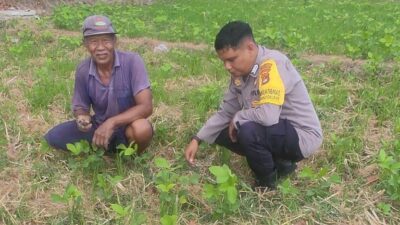 Sinergi Polri dan Warga Kuranji Dorong Desa Mandiri Pangan
