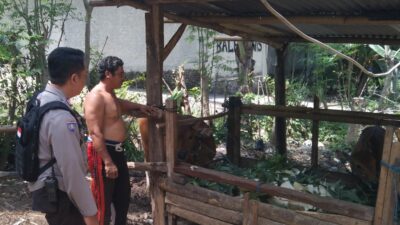 Warga Dusun Melase Antusias Sambut Program Pertanian Pekarangan yang Digagas Polsek Batulayar