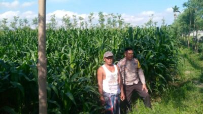 Kolaborasi Polsek Kuripan dan Petani Jagaraga Perkuat Stabilitas Pangan Desa