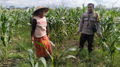 Polsek Labuapi Bangun Kesadaran Pangan Mandiri di Karang Kebon