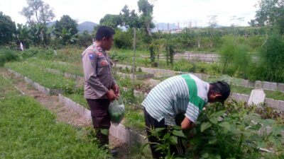 Dukungan Polri Bagi Petani Dusun Tegal: Langkah Nyata Kemandirian Pangan Jagaraga