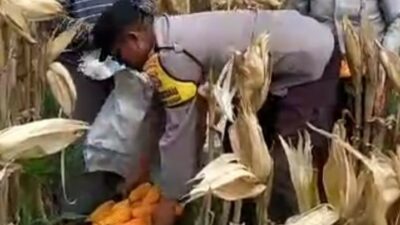 Sambang Desa di Lombok Barat: Bhabinkamtibmas Dorong Warga Jual Hasil Panen ke Bulog