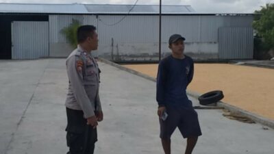 Gudang Jagung CV Galatia Disorot Polisi, Dukungan ke Bulog Jadi Harapan Bersama