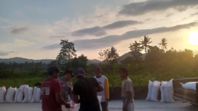 Polsek Kuripan Dorong Ketahanan Pangan Melalui Pendampingan Petani Jagung di Gerung